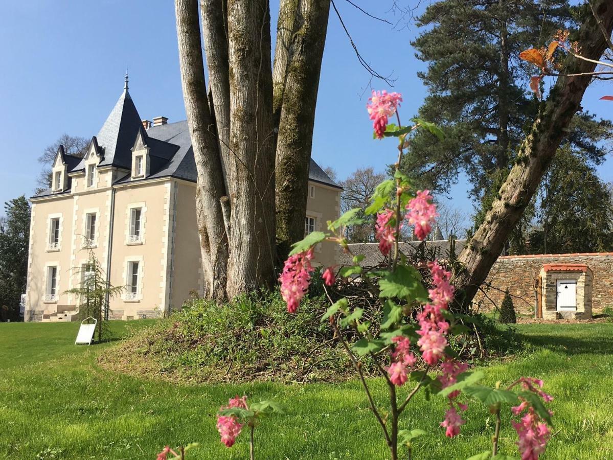 Le Petit Chateau Des Cedres Bed and Breakfast Mouchamps Buitenkant foto