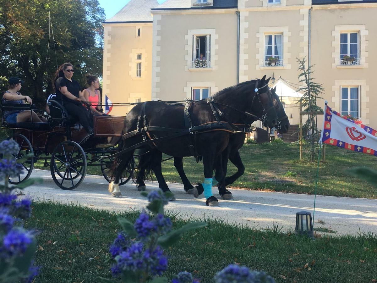 Le Petit Chateau Des Cedres Bed and Breakfast Mouchamps Buitenkant foto