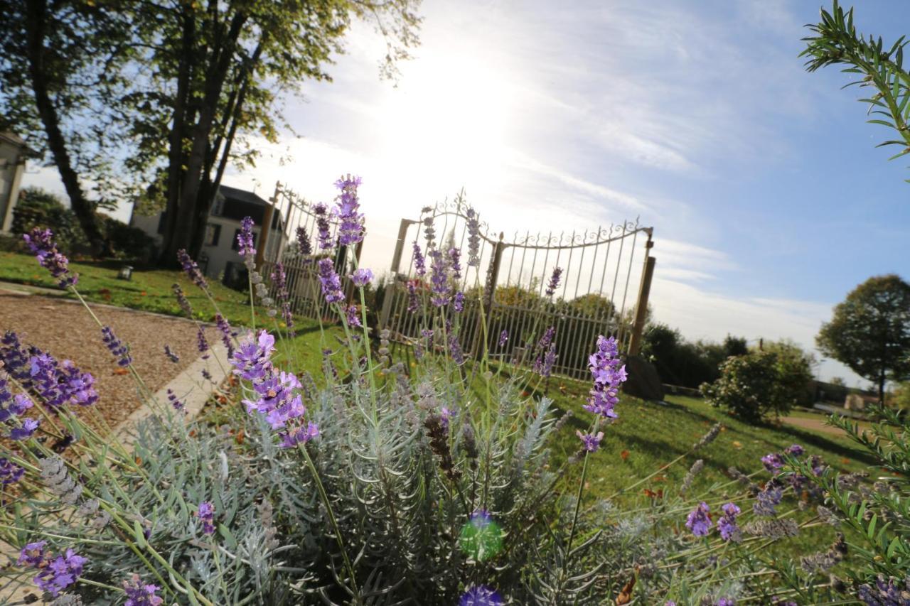 Le Petit Chateau Des Cedres Bed and Breakfast Mouchamps Buitenkant foto