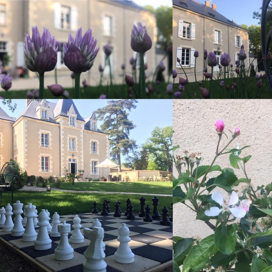 Le Petit Chateau Des Cedres Bed and Breakfast Mouchamps Buitenkant foto